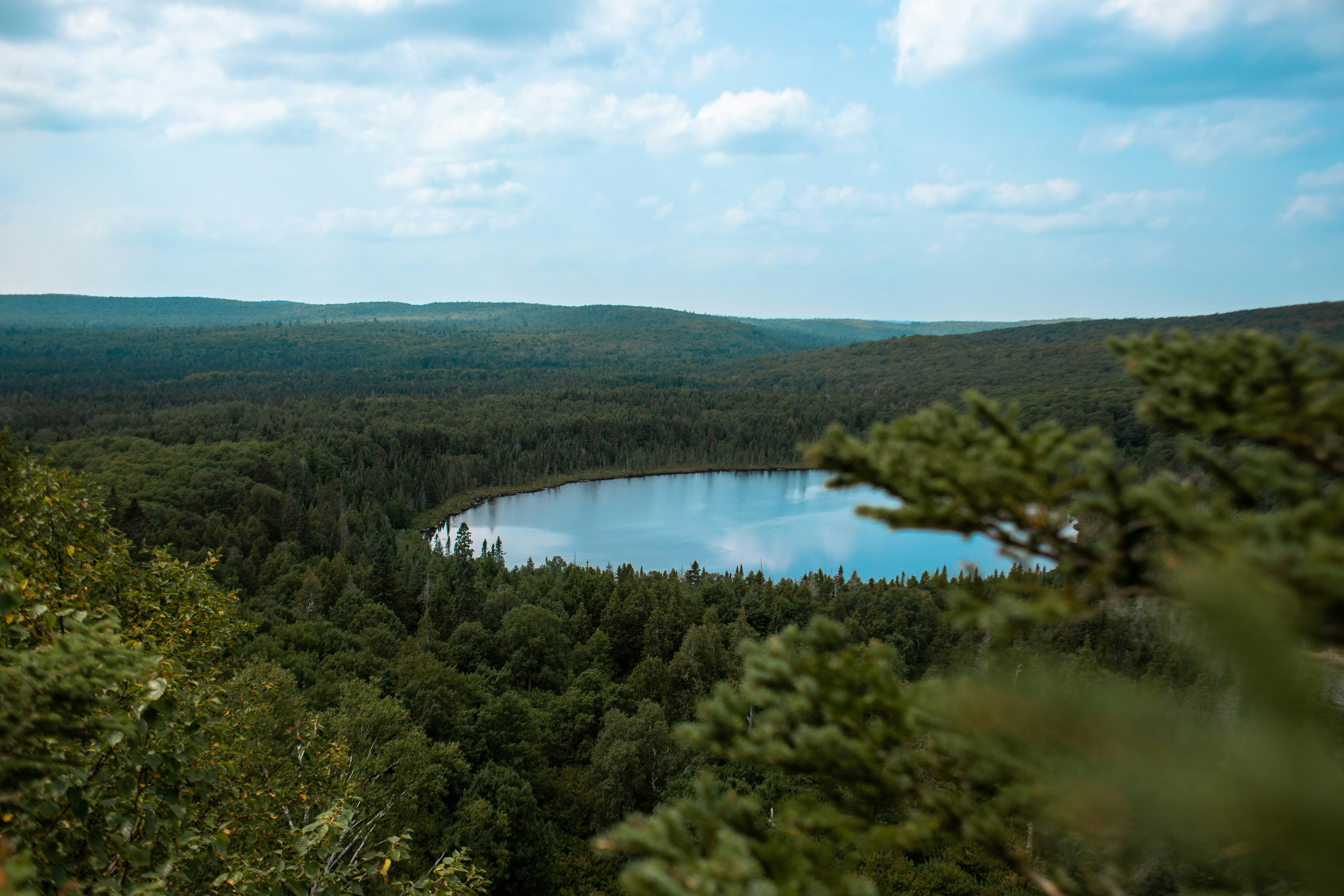 green trees near lake under blue sky during daytime